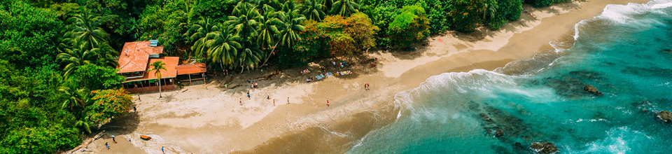 Un litoral tropical privit de sus, cu o plajă cu nisip și palmieri luxurianți.
